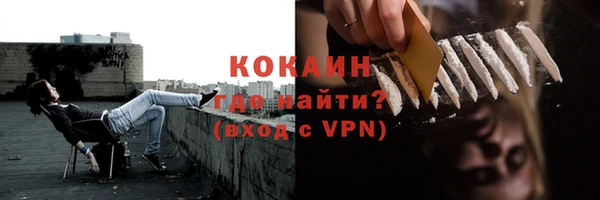 стафф Галич