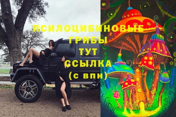 ешки Арсеньев
