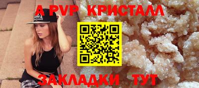 гашик Моздок