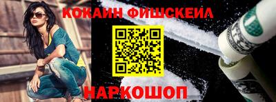 гашик Моздок
