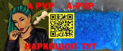 гашик Моздок