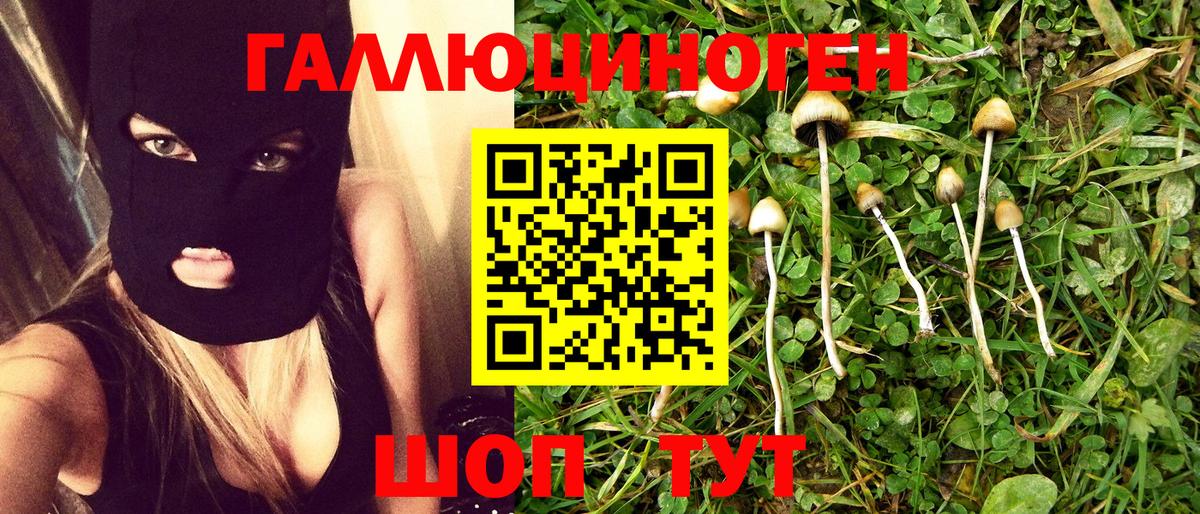 Кириши  Галлюциногенные грибы Cubensis  Вход с VPN 