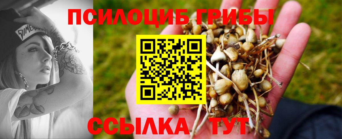 Галлюциногенные грибы прущие грибы Кириши